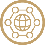 Icon featuring a globe surrounded by networked circles.