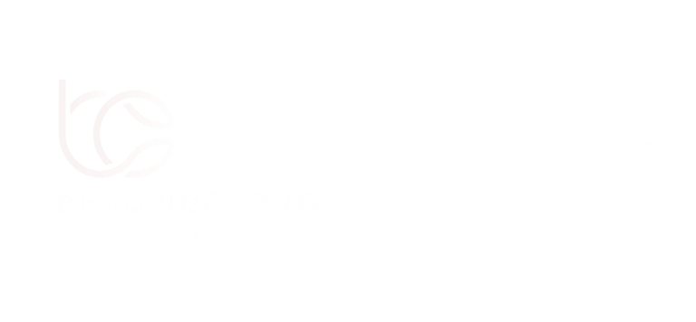 Beyond Cloud Consulting x Fuuz®