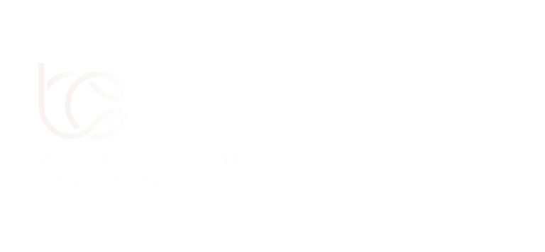 BCC x Avalara