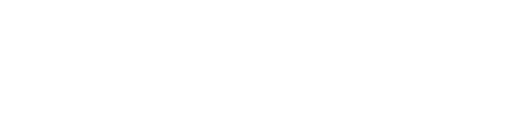 Lightspeed Logo in White